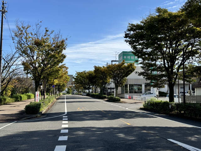 ＪＲ大府駅西並木道