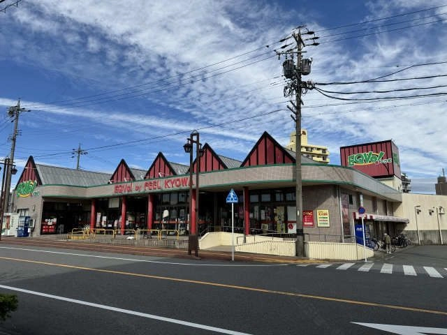 エクボ（フィール）