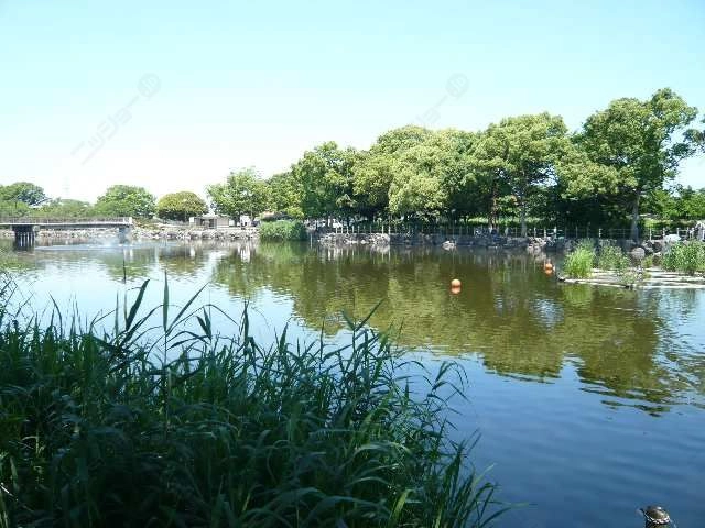 浅井山公園