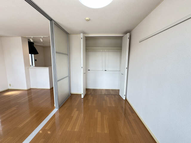 収納（南洋室）