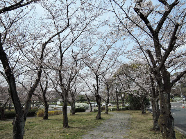 公園