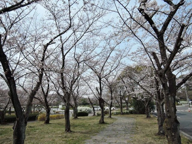 公園