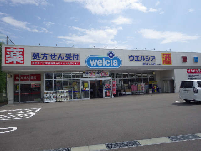 ドラッグストア