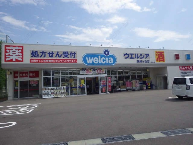 ドラッグストア