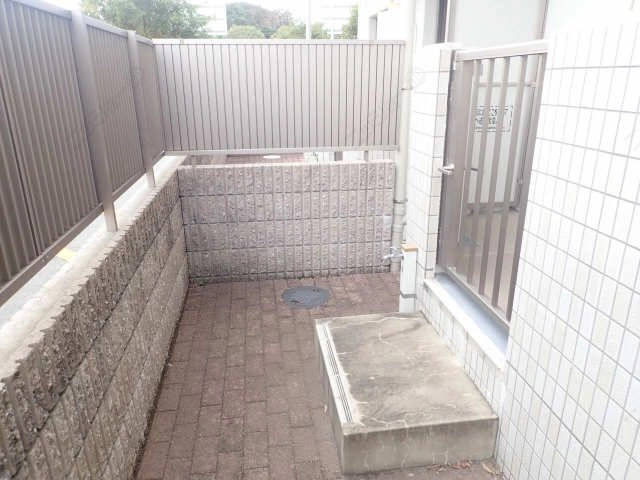 庭