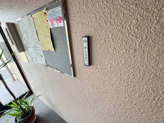掲示板
