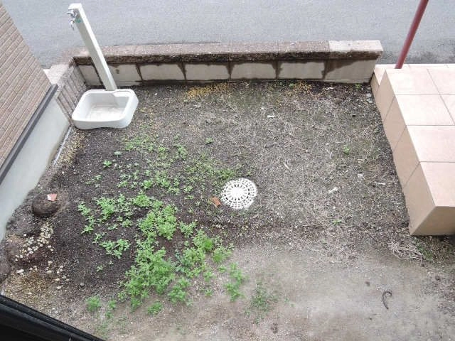 庭