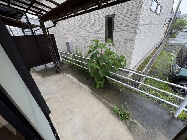 庭