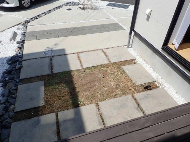 庭