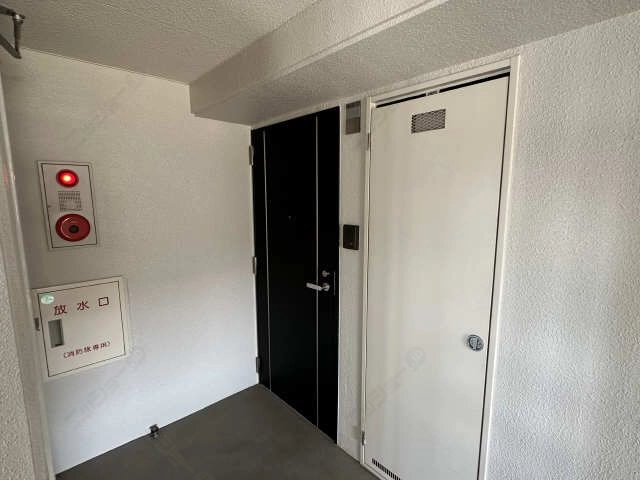 玄関ドア