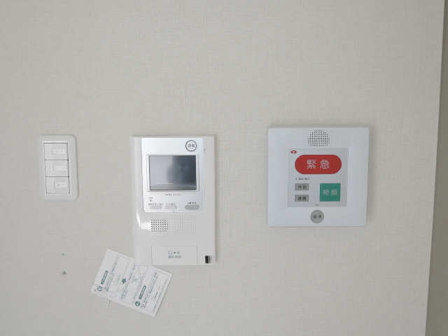 緊急通報サービス