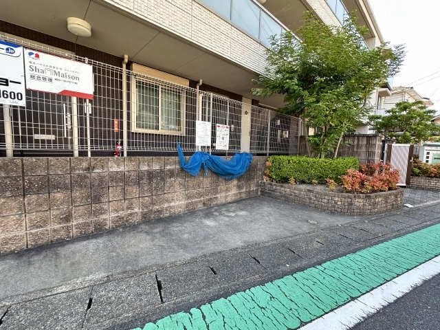 ゴミ集積所