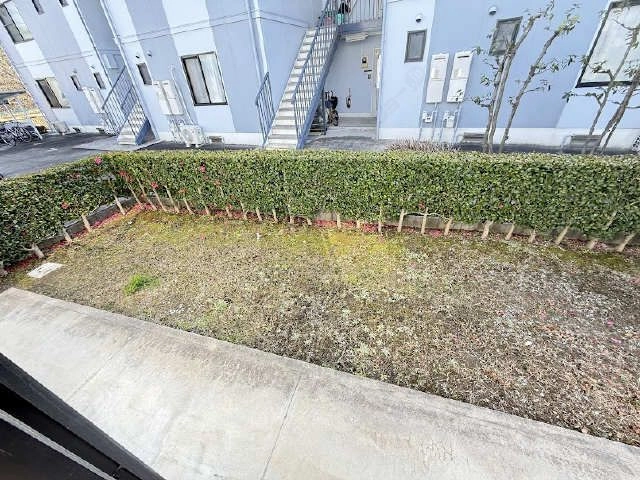 庭